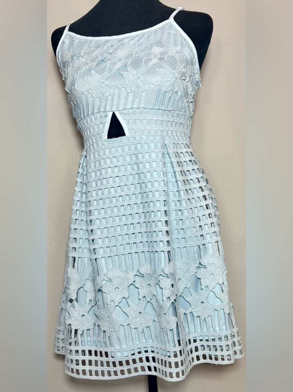 Nellis Lace Cut-Out Fit & Flare Dress in Powder Blue Size Small